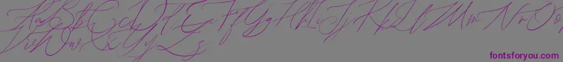 Шрифт John Davidson Demo – фиолетовые шрифты на сером фоне