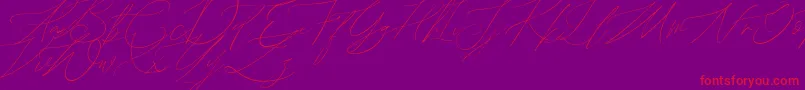 John Davidson Demo-Schriftart – Rote Schriften auf violettem Hintergrund