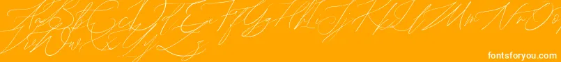 John Davidson Demo-Schriftart – Weiße Schriften auf orangefarbenem Hintergrund