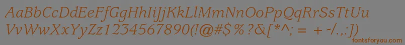 UsherwoodstdBookitalic Font – Brown Fonts on Gray Background