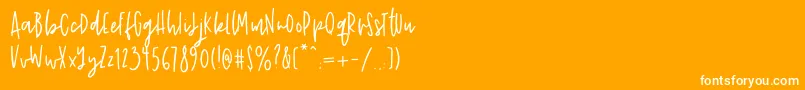 John Wick Font – White Fonts on Orange Background