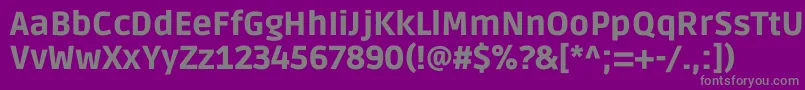 RudaBlack Font – Gray Fonts on Purple Background