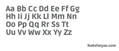 RudaBlack Font