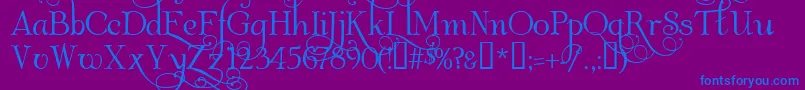 AlbemarleSwash Font – Blue Fonts on Purple Background