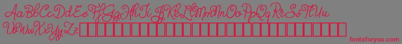 Judyth Demo Font – Red Fonts on Gray Background