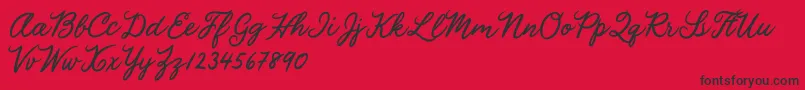 Julia Lauren Font – Black Fonts on Red Background