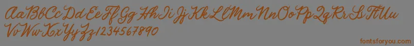 Julia Lauren Font – Brown Fonts on Gray Background