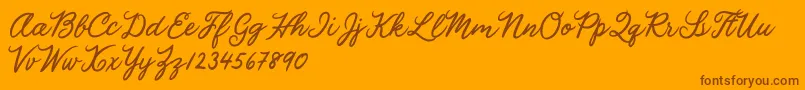 Julia Lauren Font – Brown Fonts on Orange Background