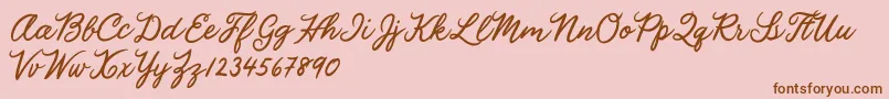 Julia Lauren Font – Brown Fonts on Pink Background