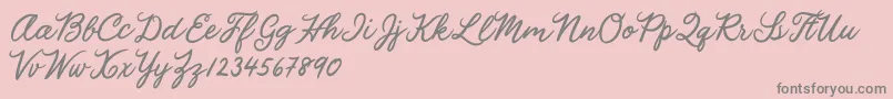 Julia Lauren Font – Gray Fonts on Pink Background
