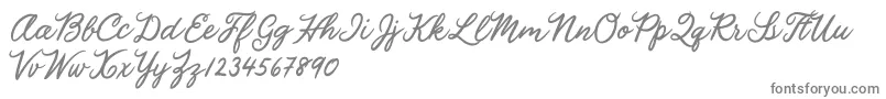 Julia Lauren Font – Gray Fonts on White Background