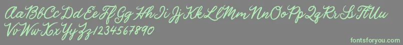 Julia Lauren Font – Green Fonts on Gray Background