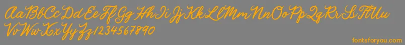 Julia Lauren Font – Orange Fonts on Gray Background