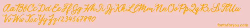 Julia Lauren Font – Orange Fonts on Pink Background