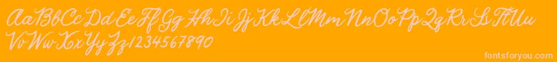 Julia Lauren Font – Pink Fonts on Orange Background