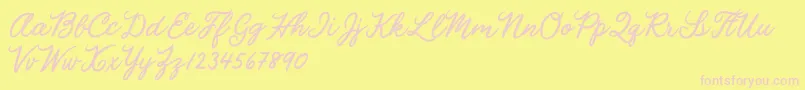 Julia Lauren Font – Pink Fonts on Yellow Background