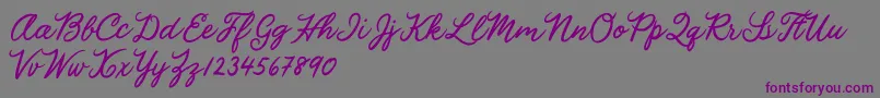 Julia Lauren Font – Purple Fonts on Gray Background