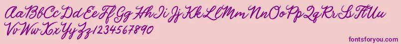 Julia Lauren Font – Purple Fonts on Pink Background