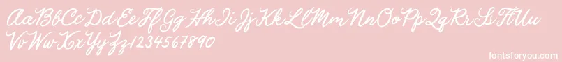 Julia Lauren Font – White Fonts on Pink Background
