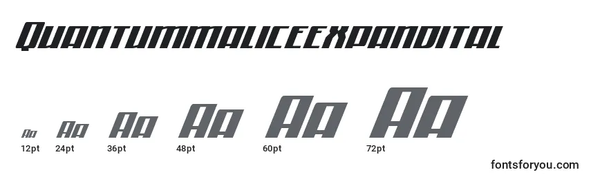 Quantummaliceexpandital Font Sizes