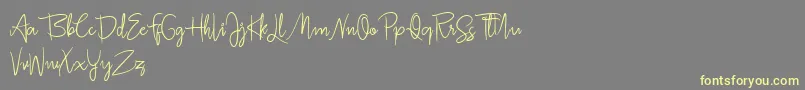 Jullia Script Personal Use Only Font – Yellow Fonts on Gray Background