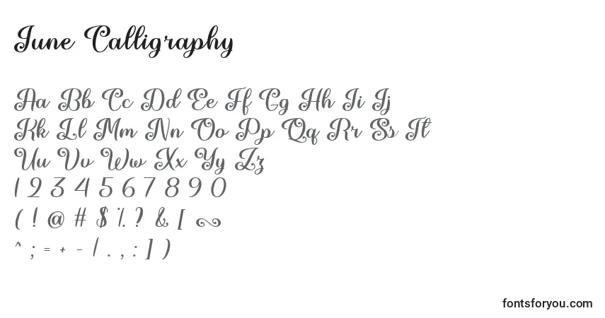 Шрифт June Calligraphy   – алфавит, цифры, специальные символы