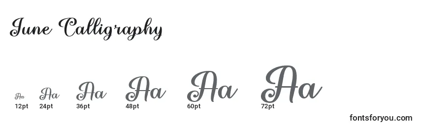 June Calligraphy   Font Sizes