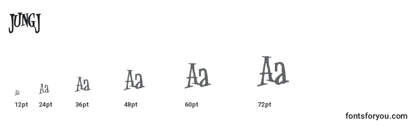 Размеры шрифта JUNGJ    (131224)