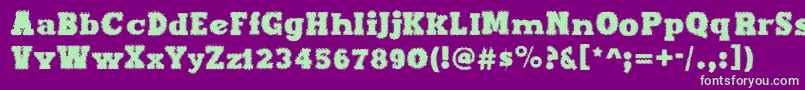 MaxxiDots Font – Green Fonts on Purple Background