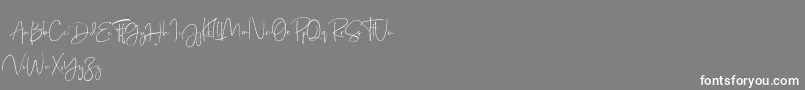 Just Sunday Demo Font – White Fonts on Gray Background