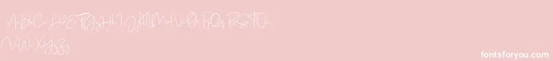 Just Sunday Demo Font – White Fonts on Pink Background