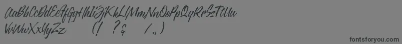 Justlyne Demo Font – Black Fonts on Gray Background