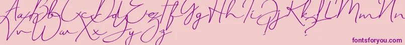 JustSignature Font – Purple Fonts on Pink Background