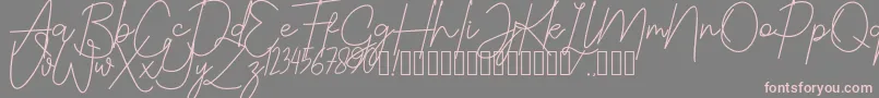 JustwinchSignatureDemo-Schriftart – Rosa Schriften auf grauem Hintergrund