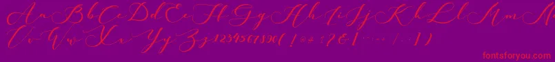 kachine Font – Red Fonts on Purple Background