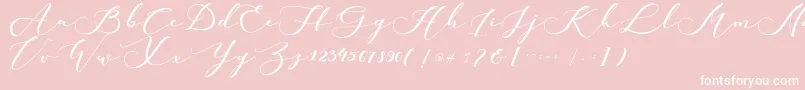 Шрифт kachine – белые шрифты на розовом фоне