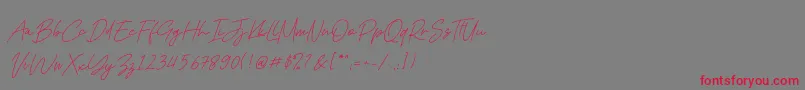 Kadung Tresno Font – Red Fonts on Gray Background