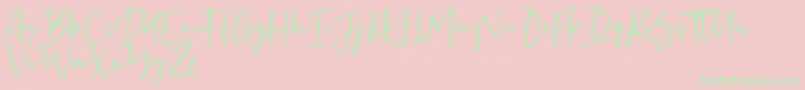 fuente Kaileigh – Fuentes Verdes Sobre Fondo Rosa