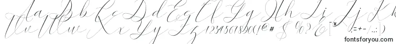 Czcionka kaitlyne – czcionki kaligraficzne