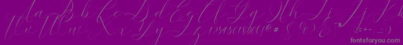 kaitlyne-fontti – harmaat kirjasimet violetilla taustalla