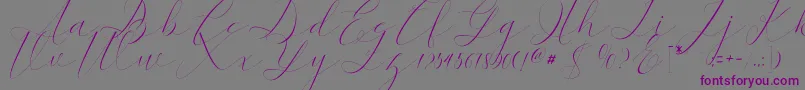 kaitlyne-Schriftart – Violette Schriften auf grauem Hintergrund