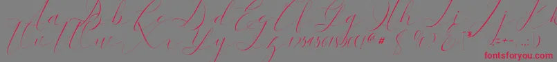 kaitlyne-Schriftart – Rote Schriften auf grauem Hintergrund