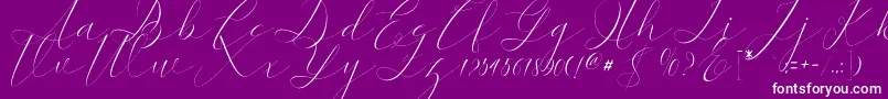 kaitlyne Font – White Fonts on Purple Background