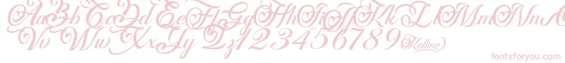 Kalline Font – Pink Fonts on White Background