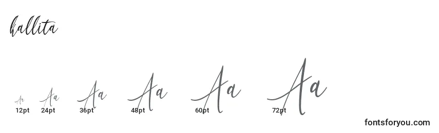 Размеры шрифта Kallita (131342)