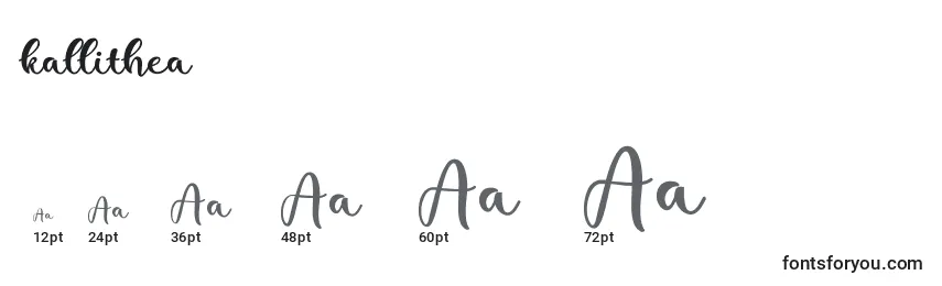 Kallithea  Font Sizes