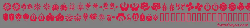 KALOF   -Schriftart – Rote Schriften auf grauem Hintergrund