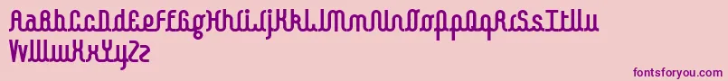 Police Kamalo bold – polices violettes sur fond rose