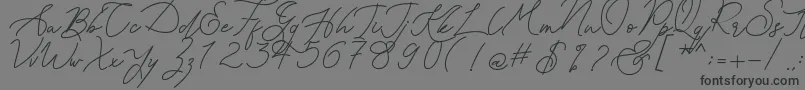 Kanaggawa Font – Black Fonts on Gray Background
