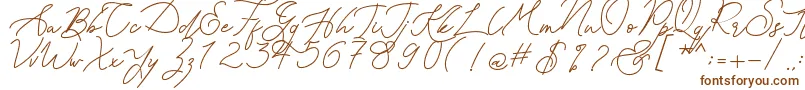 Шрифт Kanaggawa – коричневые шрифты на белом фоне